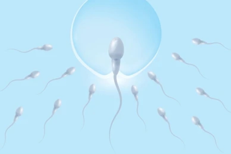 Male Infertility